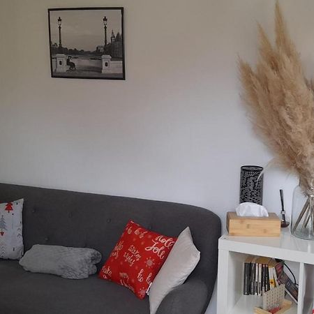 Charmante Maison Renovee, Proche Lac Et Centre-Ville LʼIsle-Jourdain エクステリア 写真